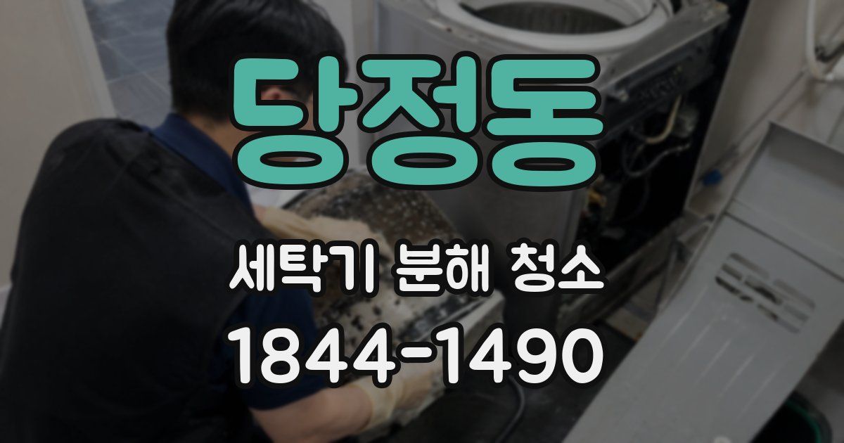 당정동 세탁기 분해 청소