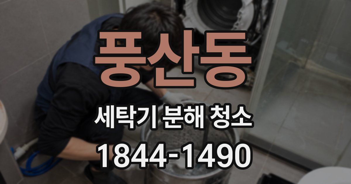 풍산동 세탁기 분해 청소