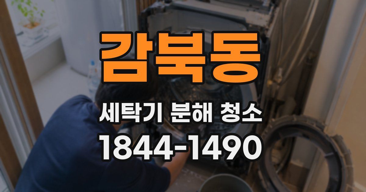 감북동 세탁기 분해 청소