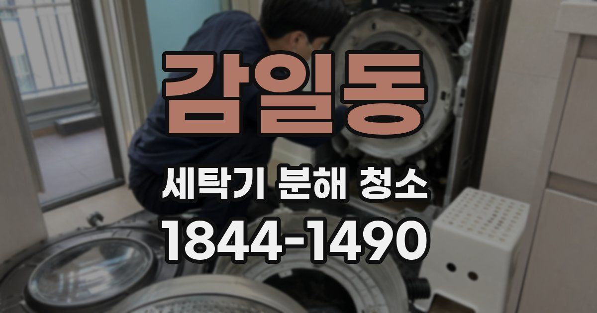 감일동 세탁기 분해 청소