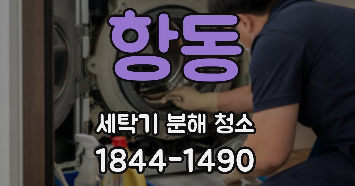 항동 세탁기 분해 청소