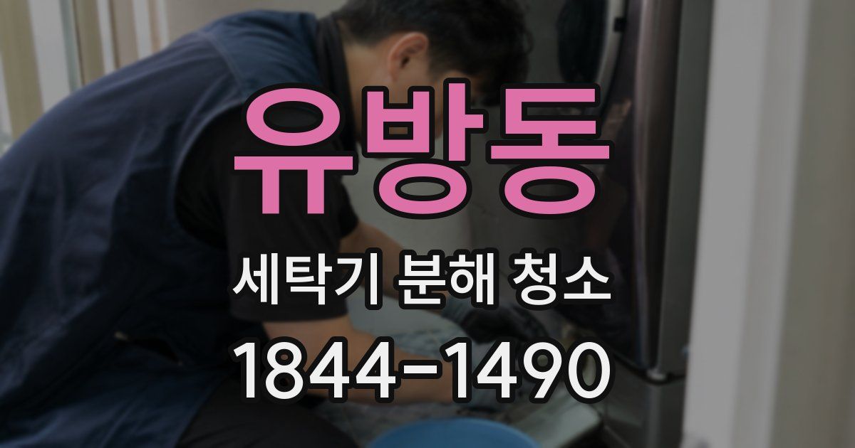 유방동 세탁기 분해 청소