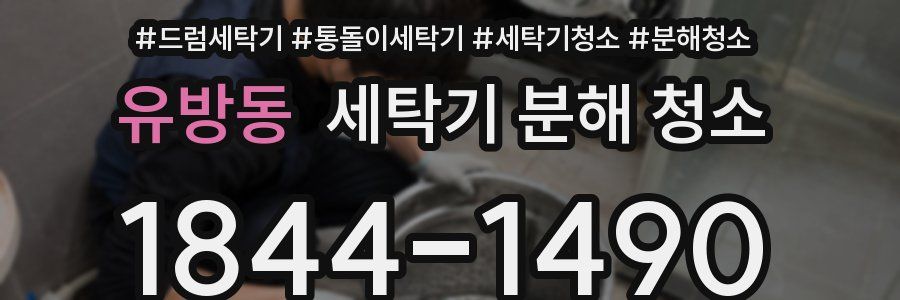 유방동 세탁기 분해 청소