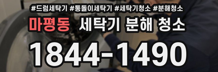 마평동 세탁기 분해 청소