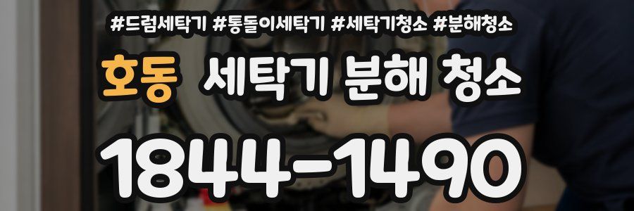 호동 세탁기 분해 청소