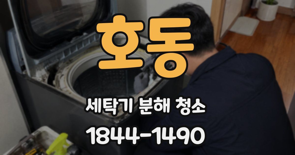 호동 세탁기 분해 청소