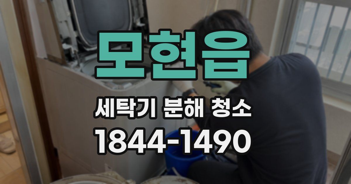 모현읍 세탁기 분해 청소