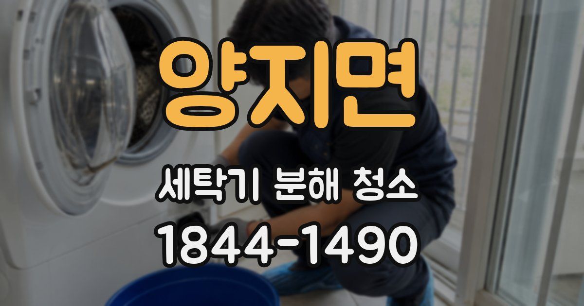 양지면 세탁기 분해 청소