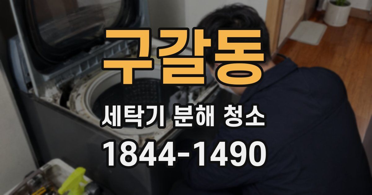 구갈동 세탁기 분해 청소