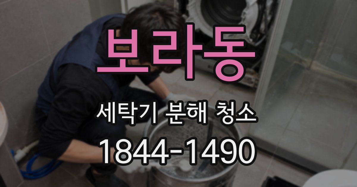 보라동 세탁기 분해 청소