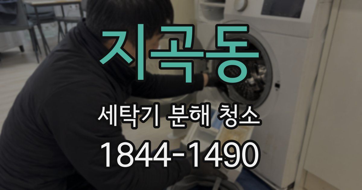 지곡동 세탁기 분해 청소
