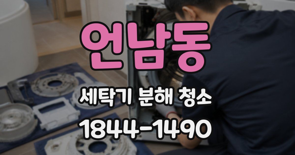 언남동 세탁기 분해 청소