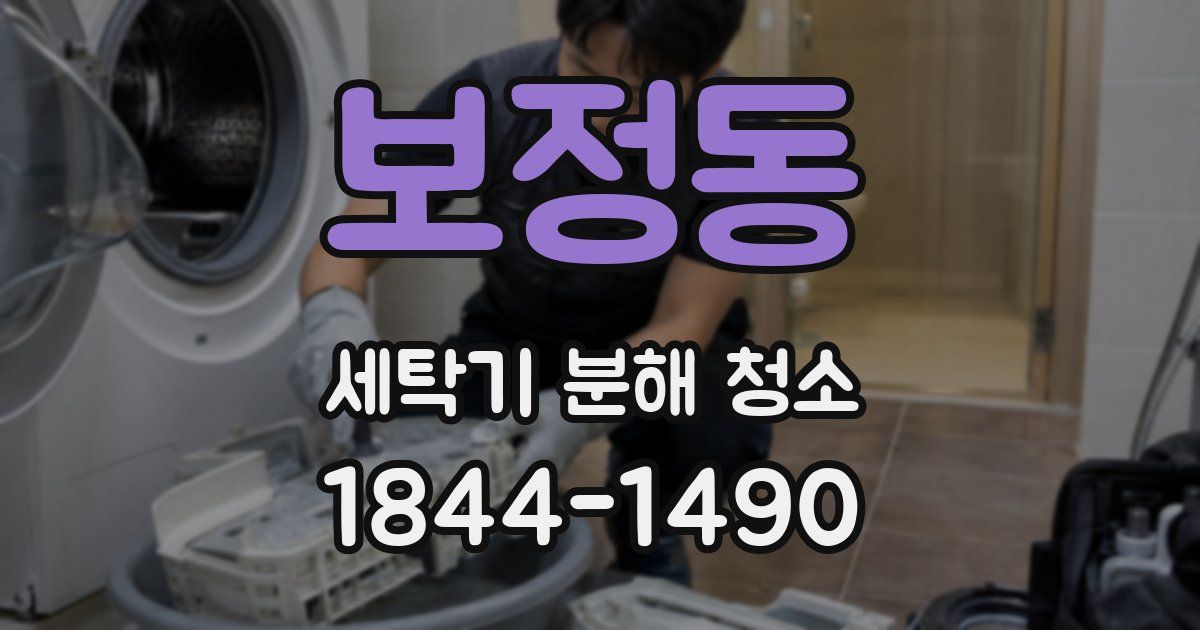 보정동 세탁기 분해 청소
