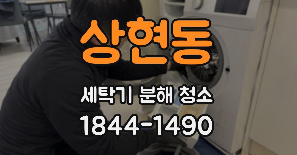 상현동 세탁기 분해 청소