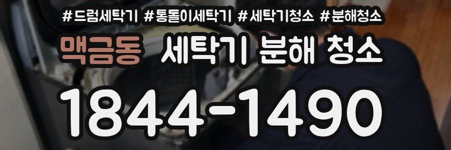 맥금동 세탁기 분해 청소