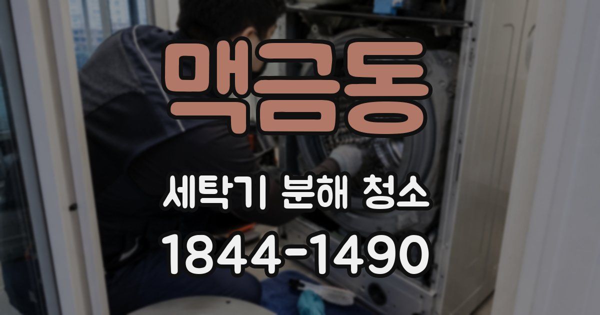 맥금동 세탁기 분해 청소