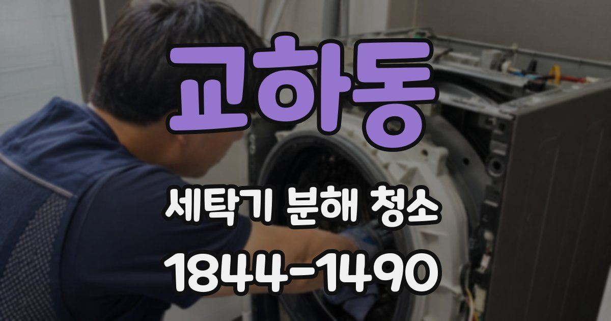 교하동 세탁기 분해 청소