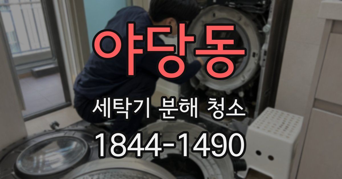 야당동 세탁기 분해 청소