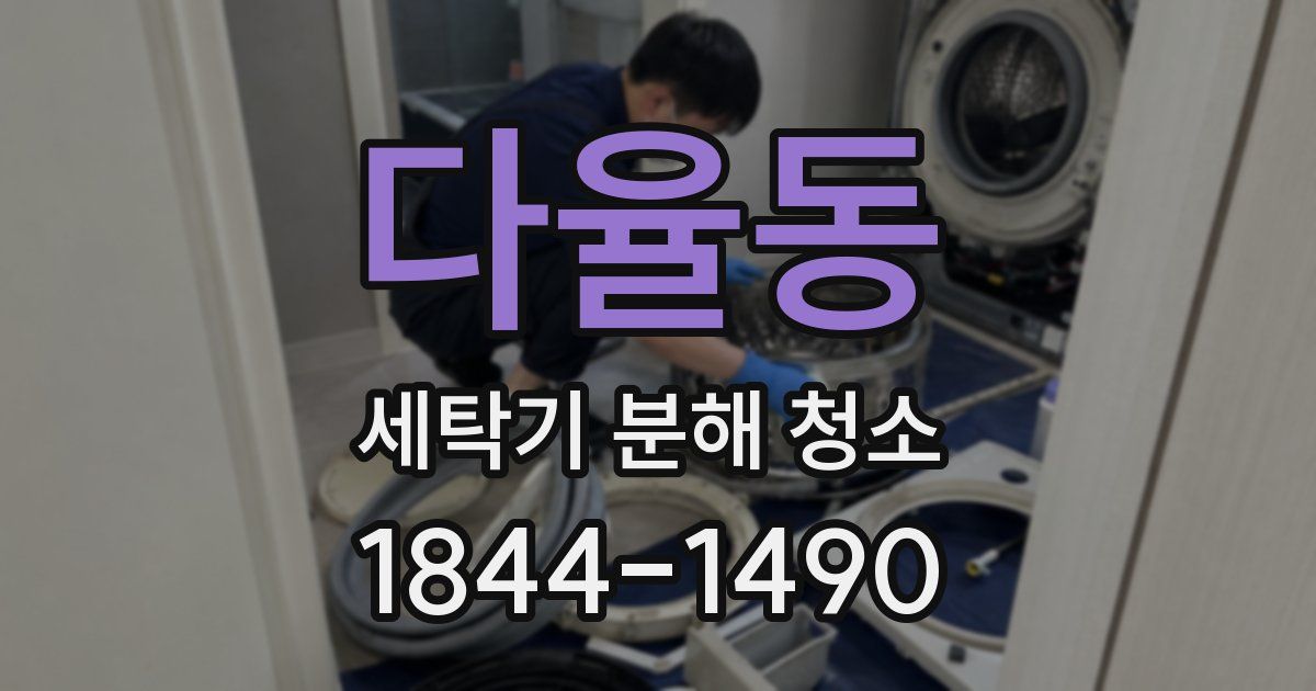다율동 세탁기 분해 청소
