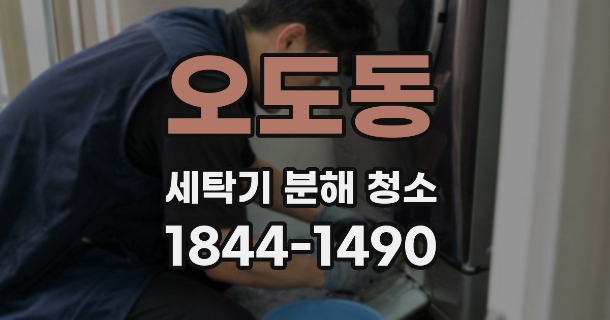 오도동 세탁기 분해 청소