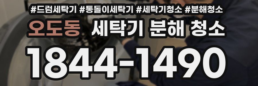 오도동 세탁기 분해 청소