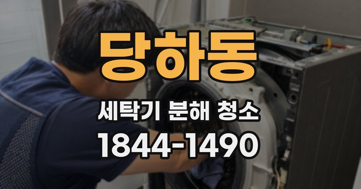 당하동 세탁기 분해 청소