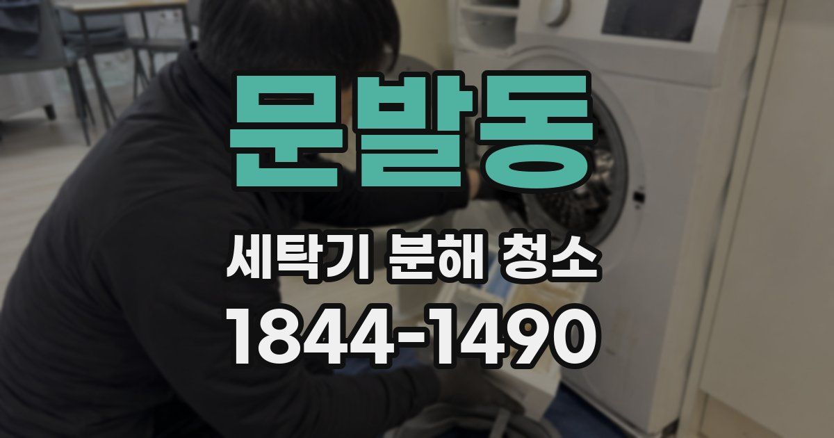 문발동 세탁기 분해 청소