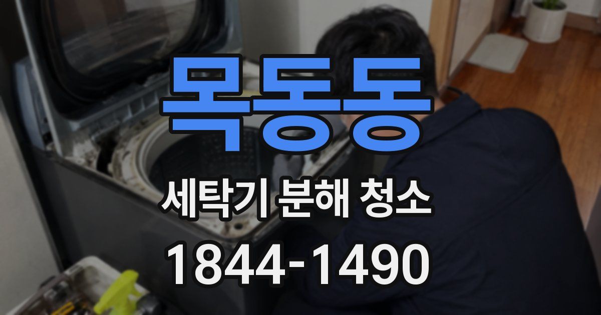 목동동 세탁기 분해 청소