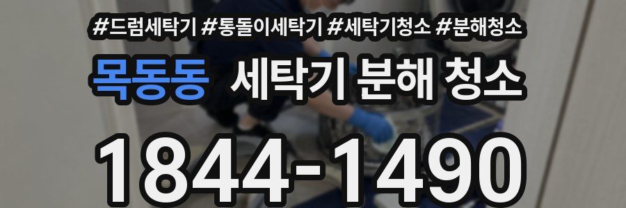 목동동 세탁기 분해 청소