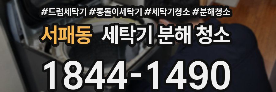서패동 세탁기 분해 청소