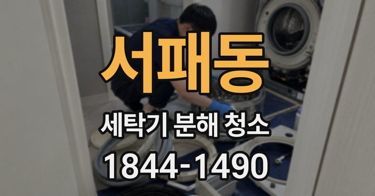 서패동 세탁기 분해 청소