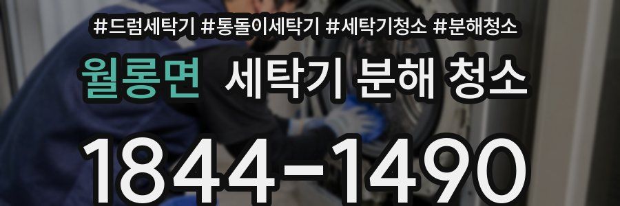 월롱면 세탁기 분해 청소