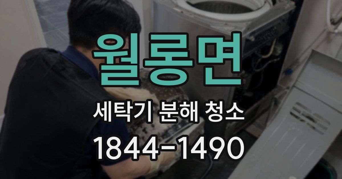 월롱면 세탁기 분해 청소