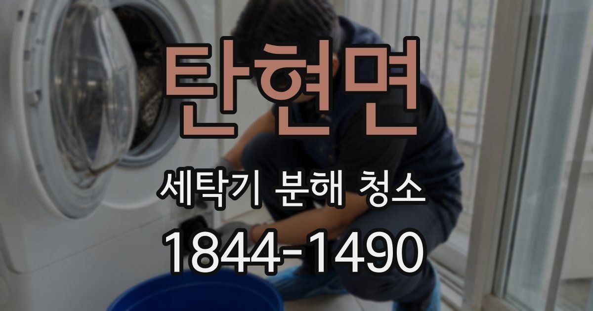 탄현면 세탁기 분해 청소