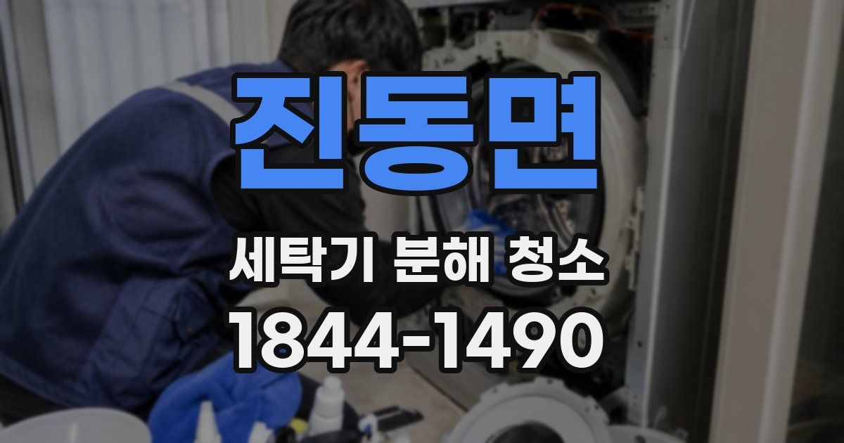 진동면 세탁기 분해 청소