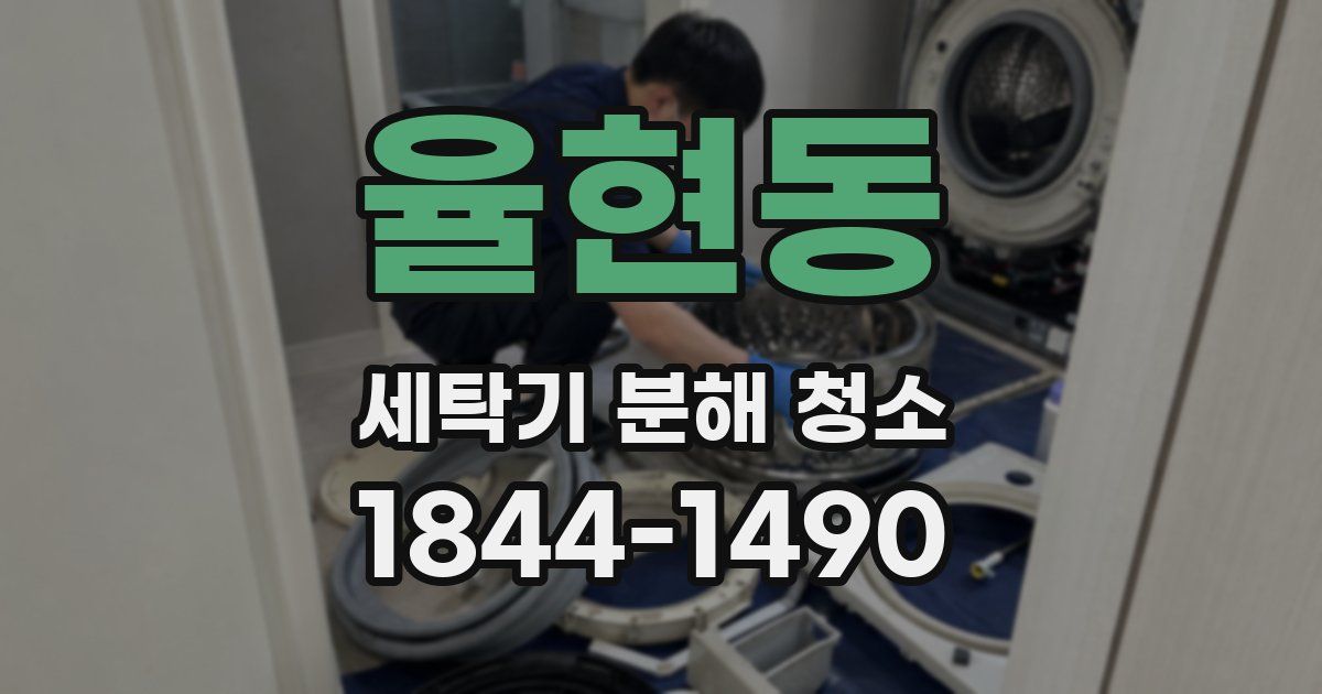율현동 세탁기 분해 청소