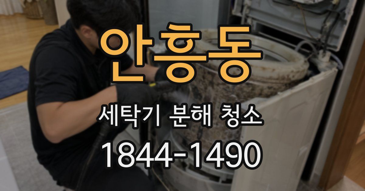 안흥동 세탁기 분해 청소