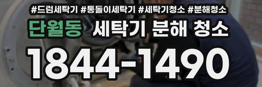 단월동 세탁기 분해 청소