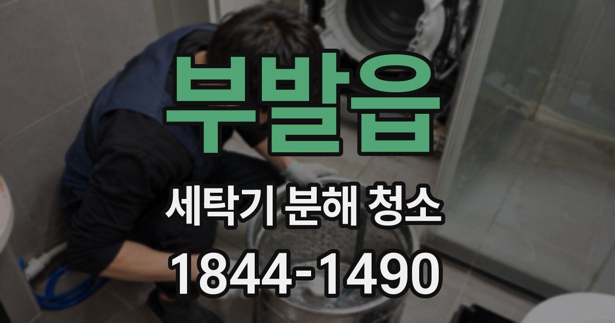 부발읍 세탁기 분해 청소