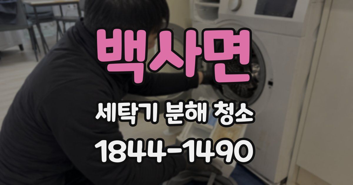 백사면 세탁기 분해 청소