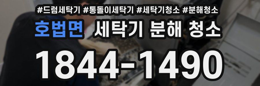 호법면 세탁기 분해 청소
