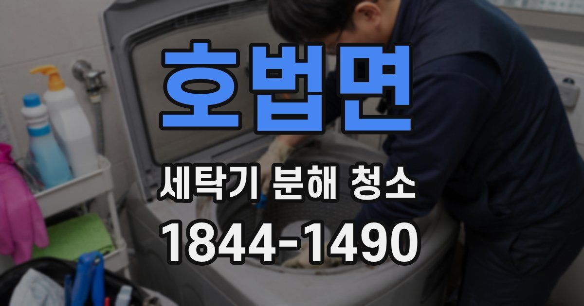 호법면 세탁기 분해 청소