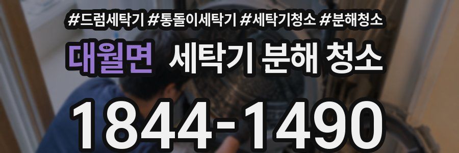 대월면 세탁기 분해 청소