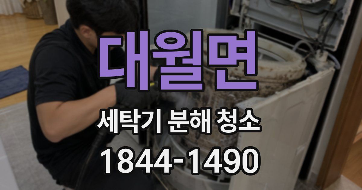대월면 세탁기 분해 청소