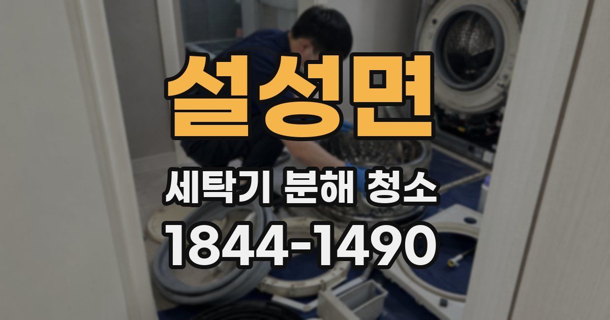 설성면 세탁기 분해 청소