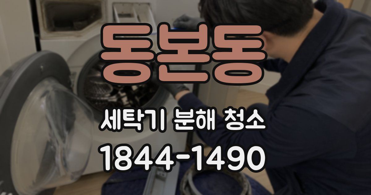 동본동 세탁기 분해 청소