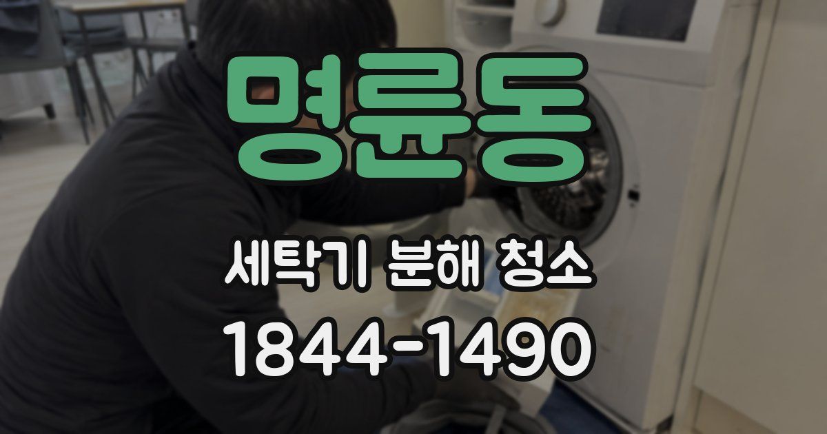 명륜동 세탁기 분해 청소