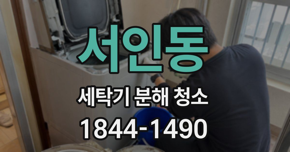 서인동 세탁기 분해 청소