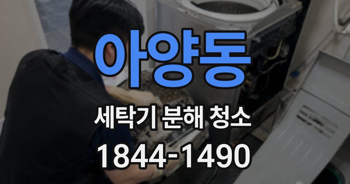 아양동 세탁기 분해 청소