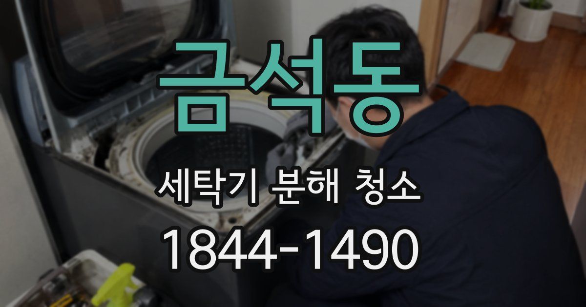 금석동 세탁기 분해 청소